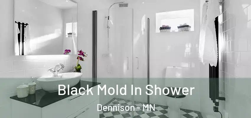  Black Mold In Shower Dennison - MN