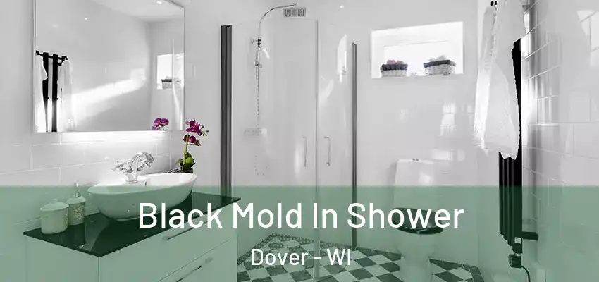 Black Mold In Shower Dover - WI
