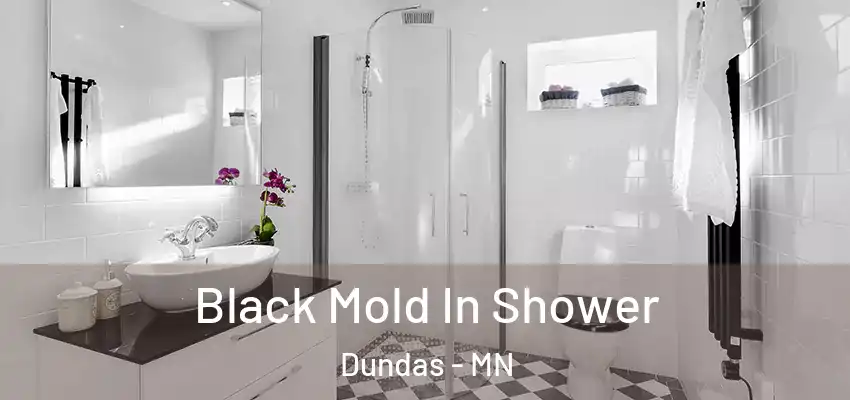 Black Mold In Shower Dundas - MN