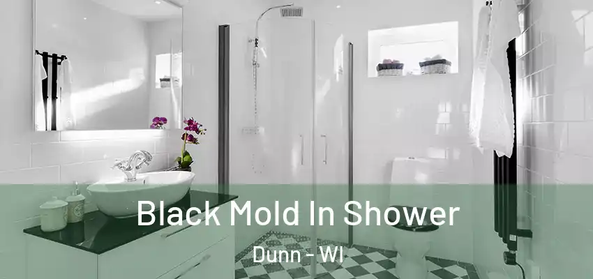 Black Mold In Shower Dunn - WI