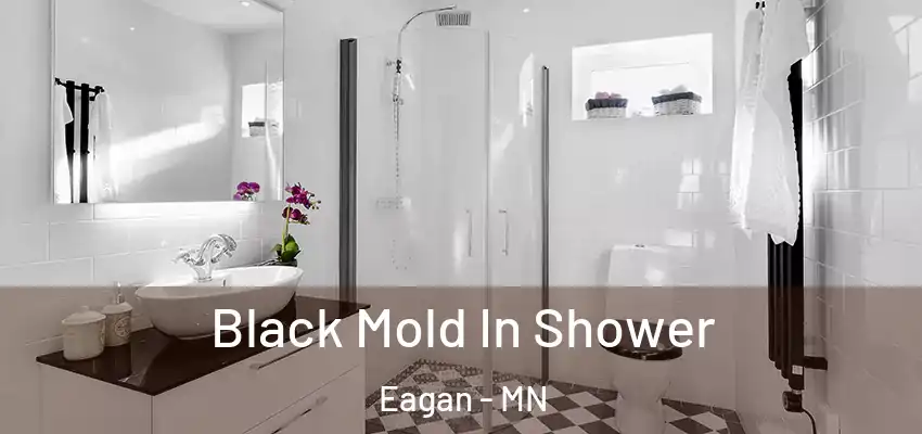  Black Mold In Shower Eagan - MN