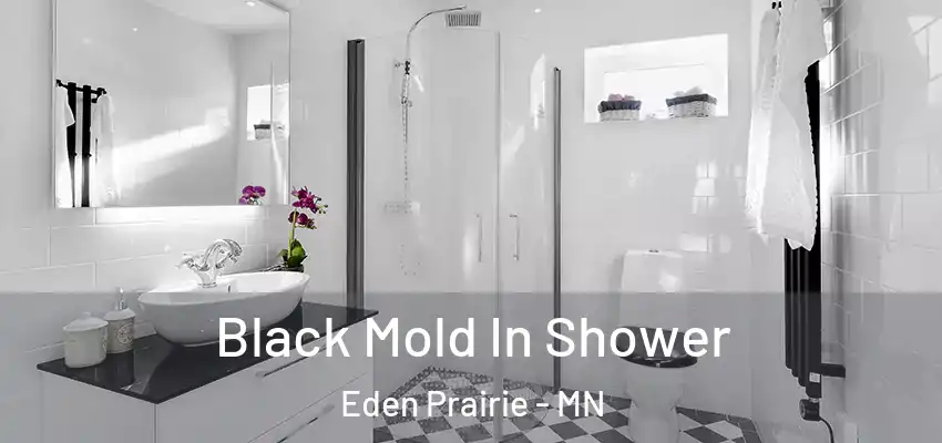  Black Mold In Shower Eden Prairie - MN