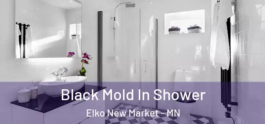  Black Mold In Shower Elko New Market - MN