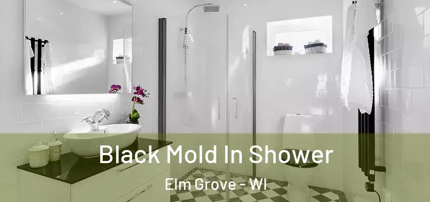  Black Mold In Shower Elm Grove - WI