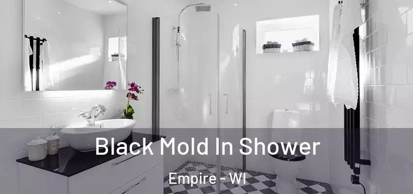  Black Mold In Shower Empire - WI