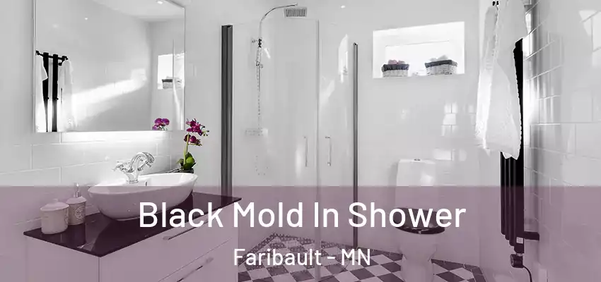  Black Mold In Shower Faribault - MN