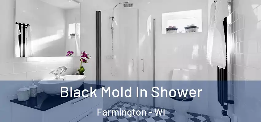  Black Mold In Shower Farmington - WI