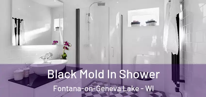  Black Mold In Shower Fontana-on-Geneva Lake - WI