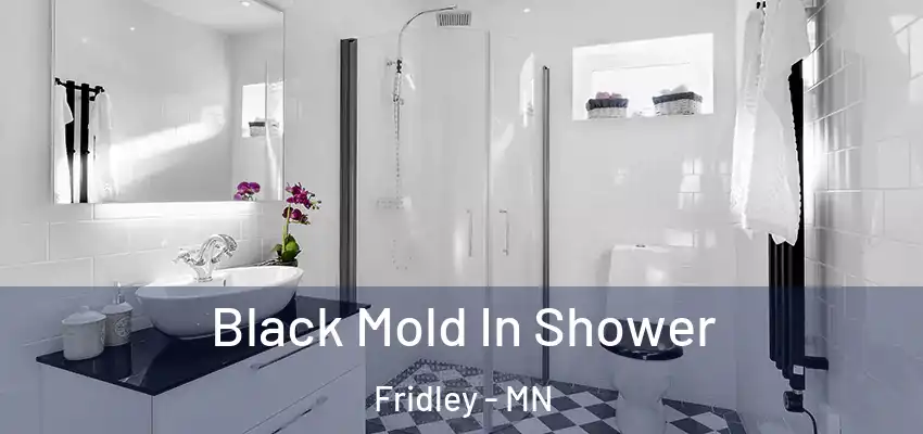  Black Mold In Shower Fridley - MN
