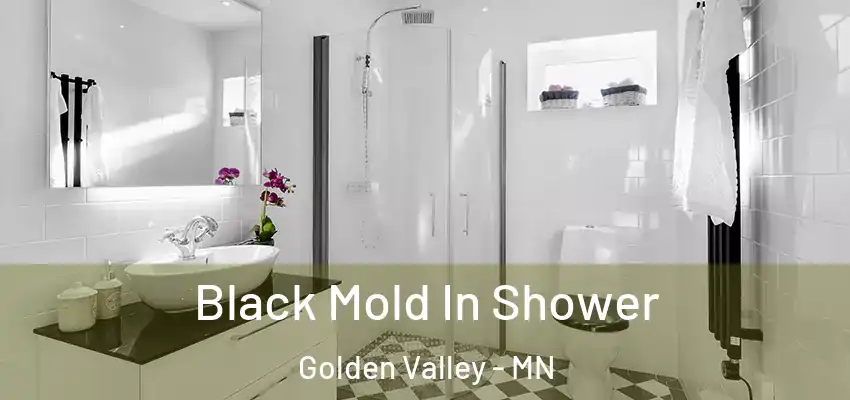  Black Mold In Shower Golden Valley - MN