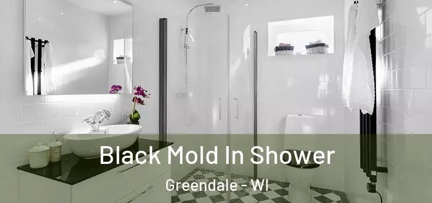  Black Mold In Shower Greendale - WI