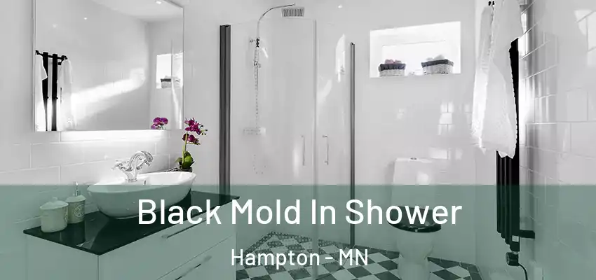  Black Mold In Shower Hampton - MN