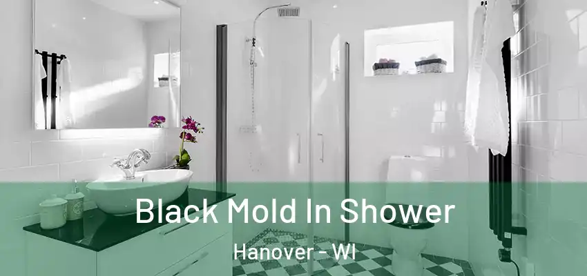  Black Mold In Shower Hanover - WI