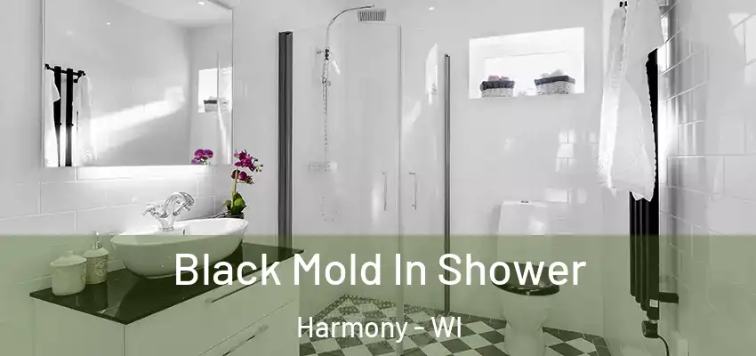  Black Mold In Shower Harmony - WI