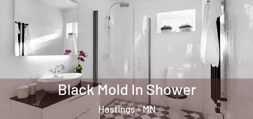  Black Mold In Shower Hastings - MN