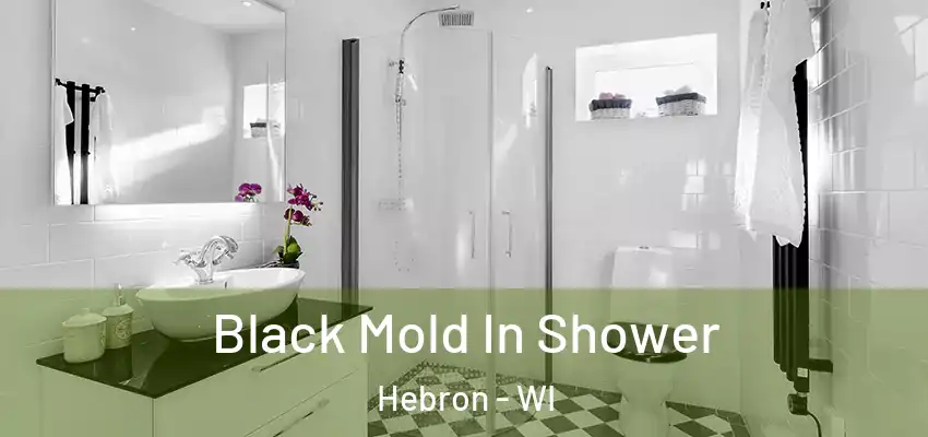  Black Mold In Shower Hebron - WI