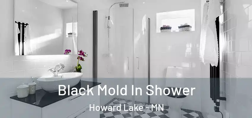  Black Mold In Shower Howard Lake - MN