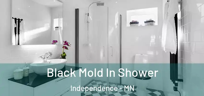  Black Mold In Shower Independence - MN