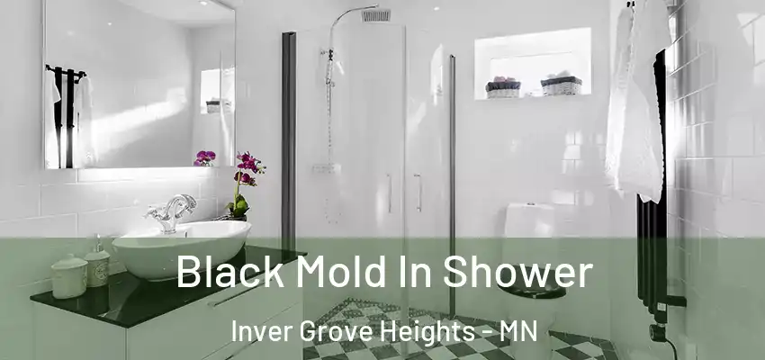  Black Mold In Shower Inver Grove Heights - MN