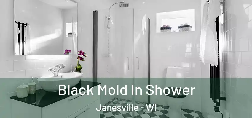  Black Mold In Shower Janesville - WI