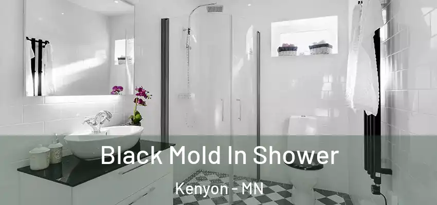  Black Mold In Shower Kenyon - MN