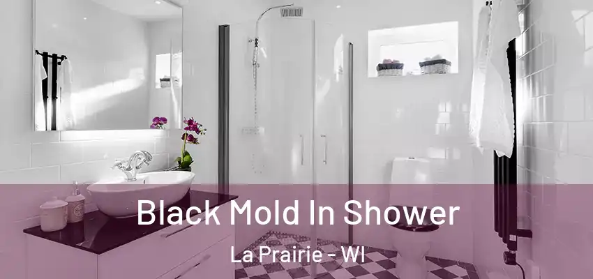  Black Mold In Shower La Prairie - WI
