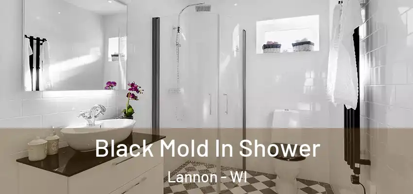  Black Mold In Shower Lannon - WI