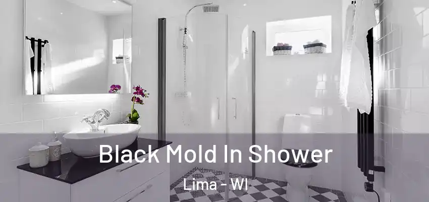  Black Mold In Shower Lima - WI