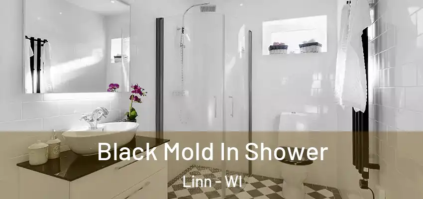  Black Mold In Shower Linn - WI