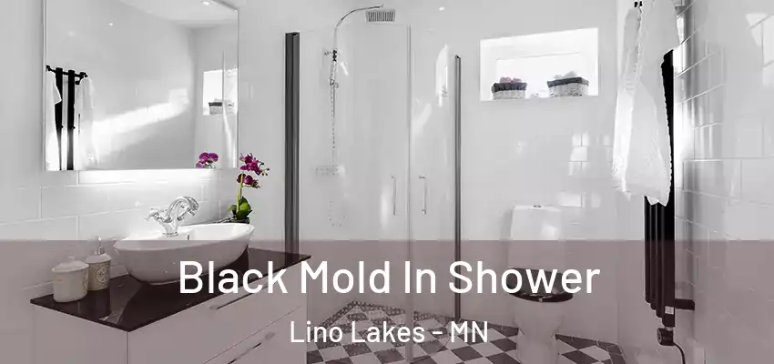  Black Mold In Shower Lino Lakes - MN