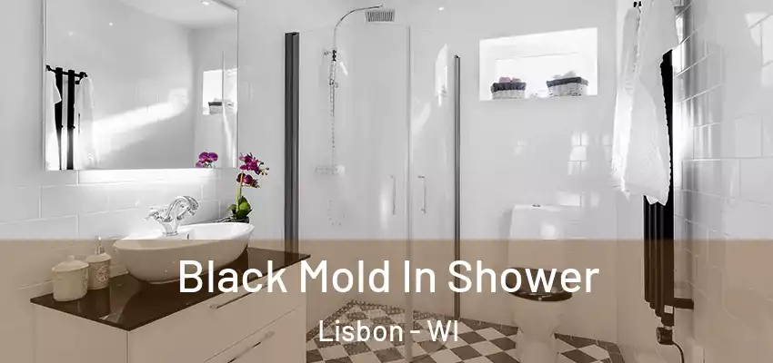 Black Mold In Shower Lisbon - WI