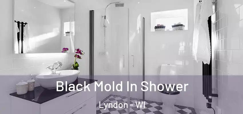  Black Mold In Shower Lyndon - WI