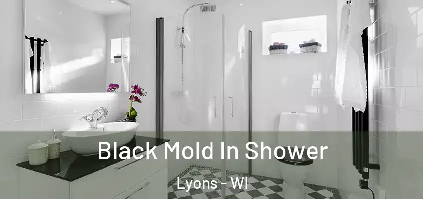 Black Mold In Shower Lyons - WI