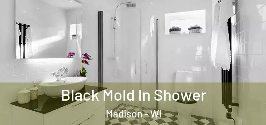  Black Mold In Shower Madison - WI