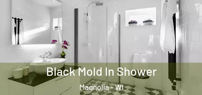  Black Mold In Shower Magnolia - WI