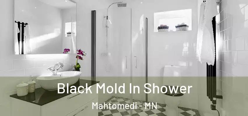  Black Mold In Shower Mahtomedi - MN