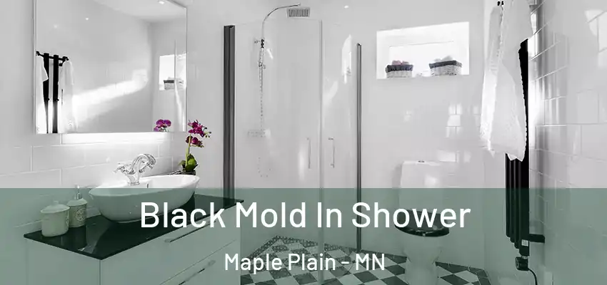  Black Mold In Shower Maple Plain - MN