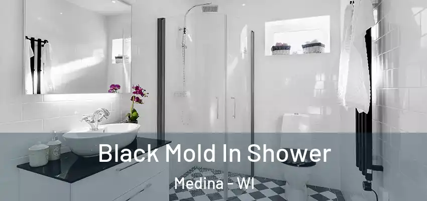  Black Mold In Shower Medina - WI