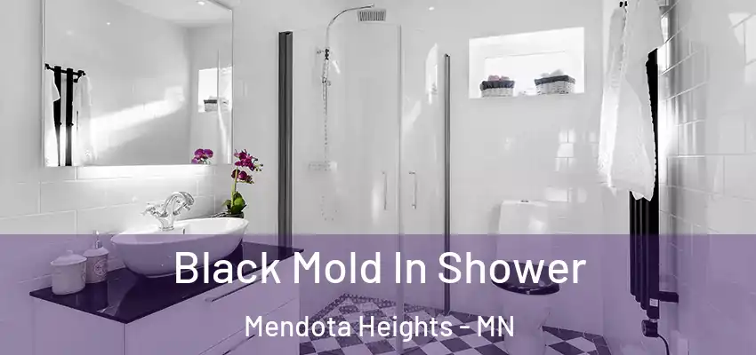  Black Mold In Shower Mendota Heights - MN