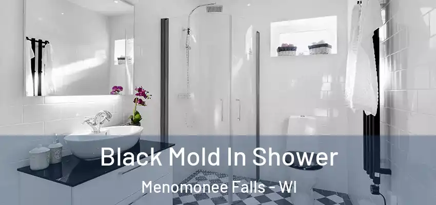  Black Mold In Shower Menomonee Falls - WI