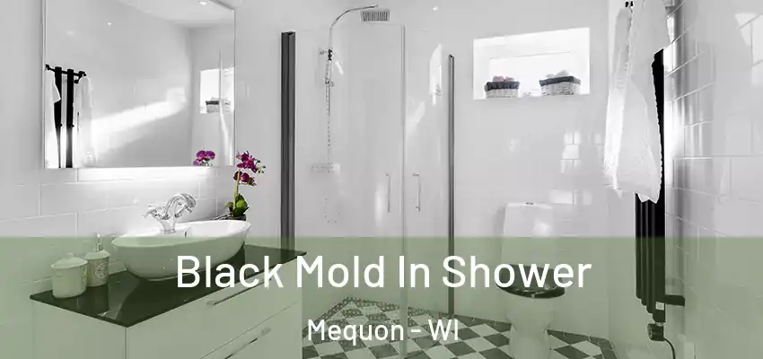  Black Mold In Shower Mequon - WI