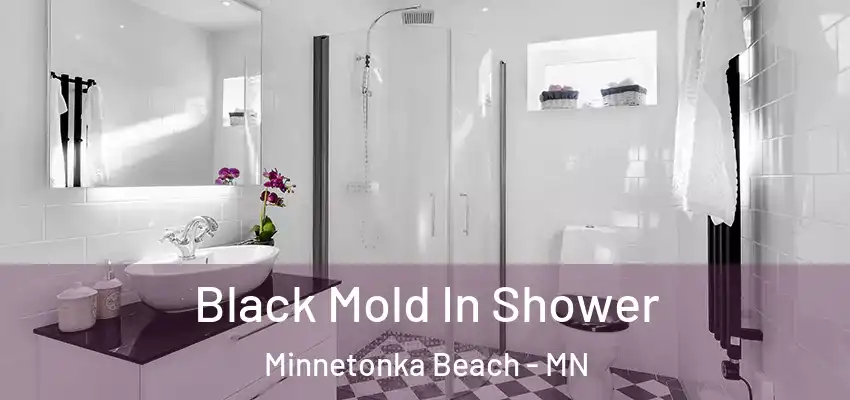  Black Mold In Shower Minnetonka Beach - MN