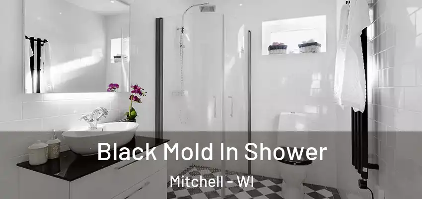 Black Mold In Shower Mitchell - WI