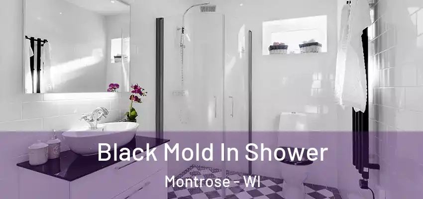  Black Mold In Shower Montrose - WI