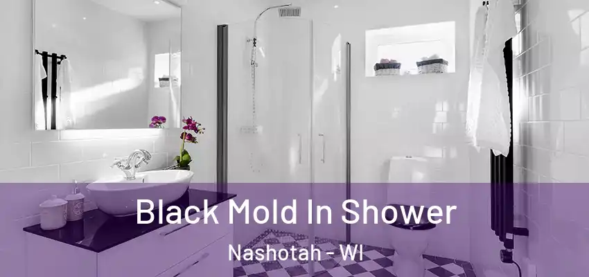  Black Mold In Shower Nashotah - WI