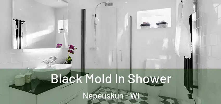  Black Mold In Shower Nepeuskun - WI