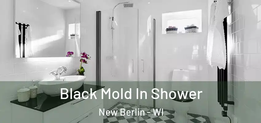  Black Mold In Shower New Berlin - WI