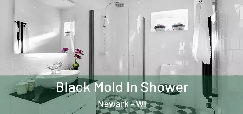  Black Mold In Shower Newark - WI