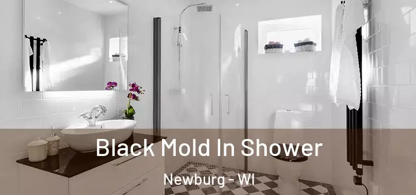 Black Mold In Shower Newburg - WI