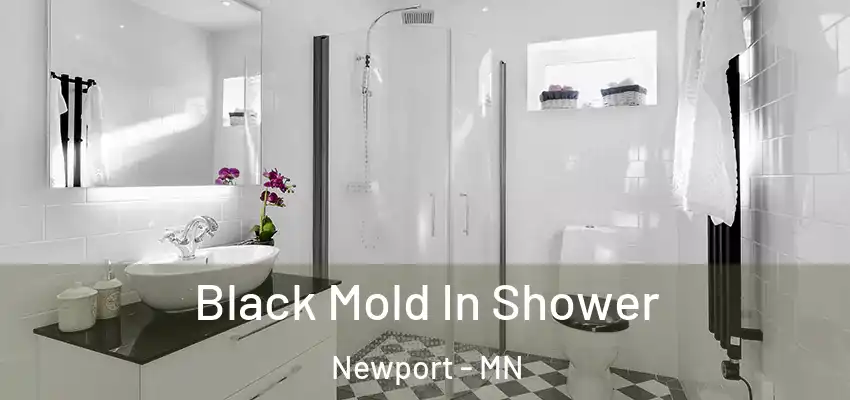 Black Mold In Shower Newport - MN